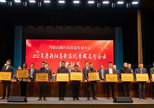 我司榮獲2022年優(yōu)秀成長(cháng)型企業(yè)獎項